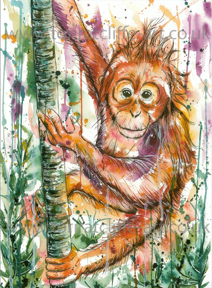 SOS – Sumatran Orangutan Society